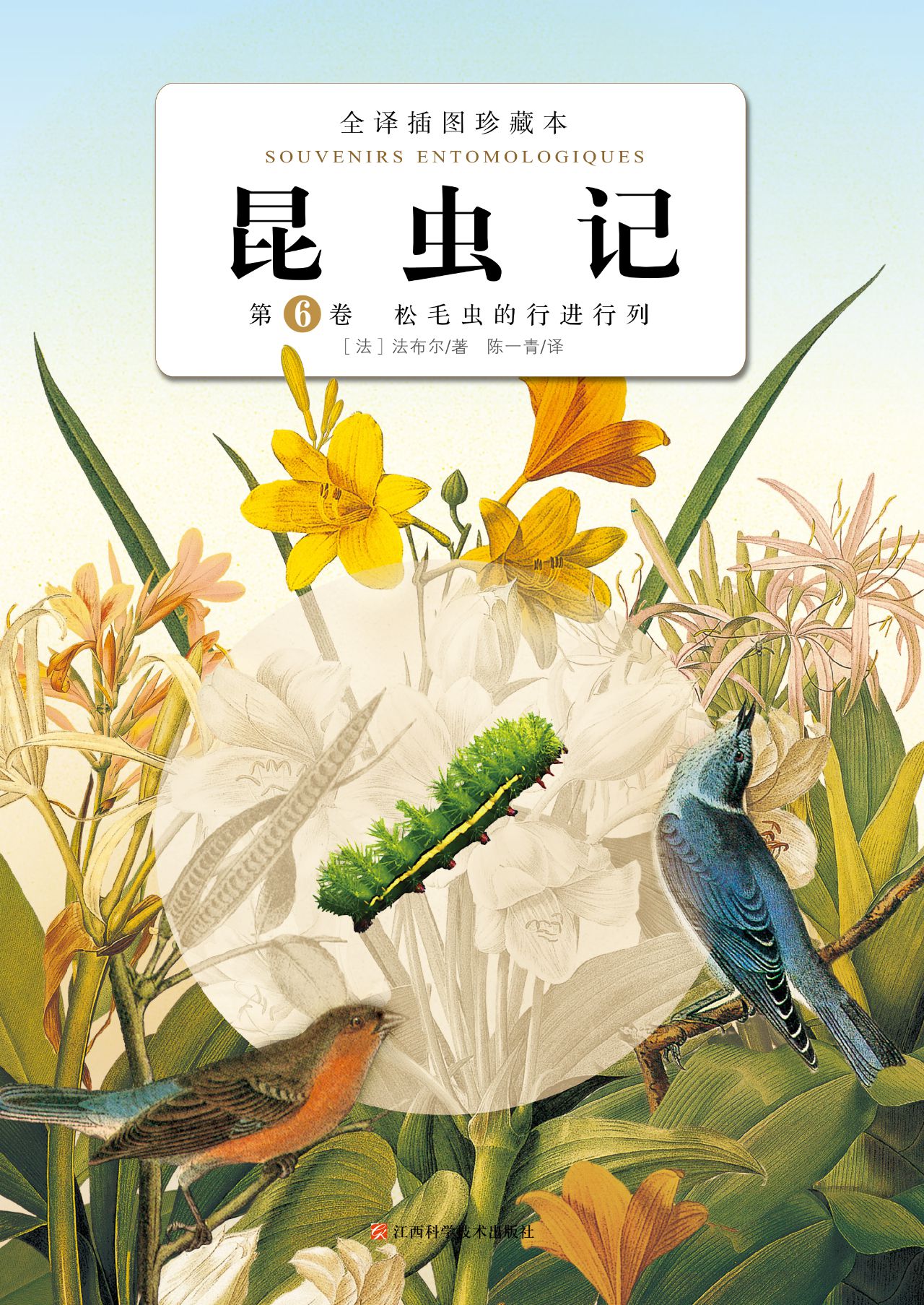 昆虫记：第6卷·松毛虫