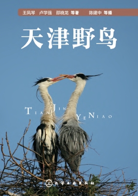 天津野鸟