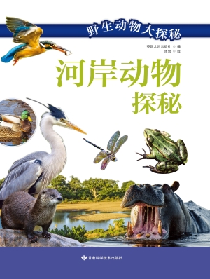 河岸动物探秘