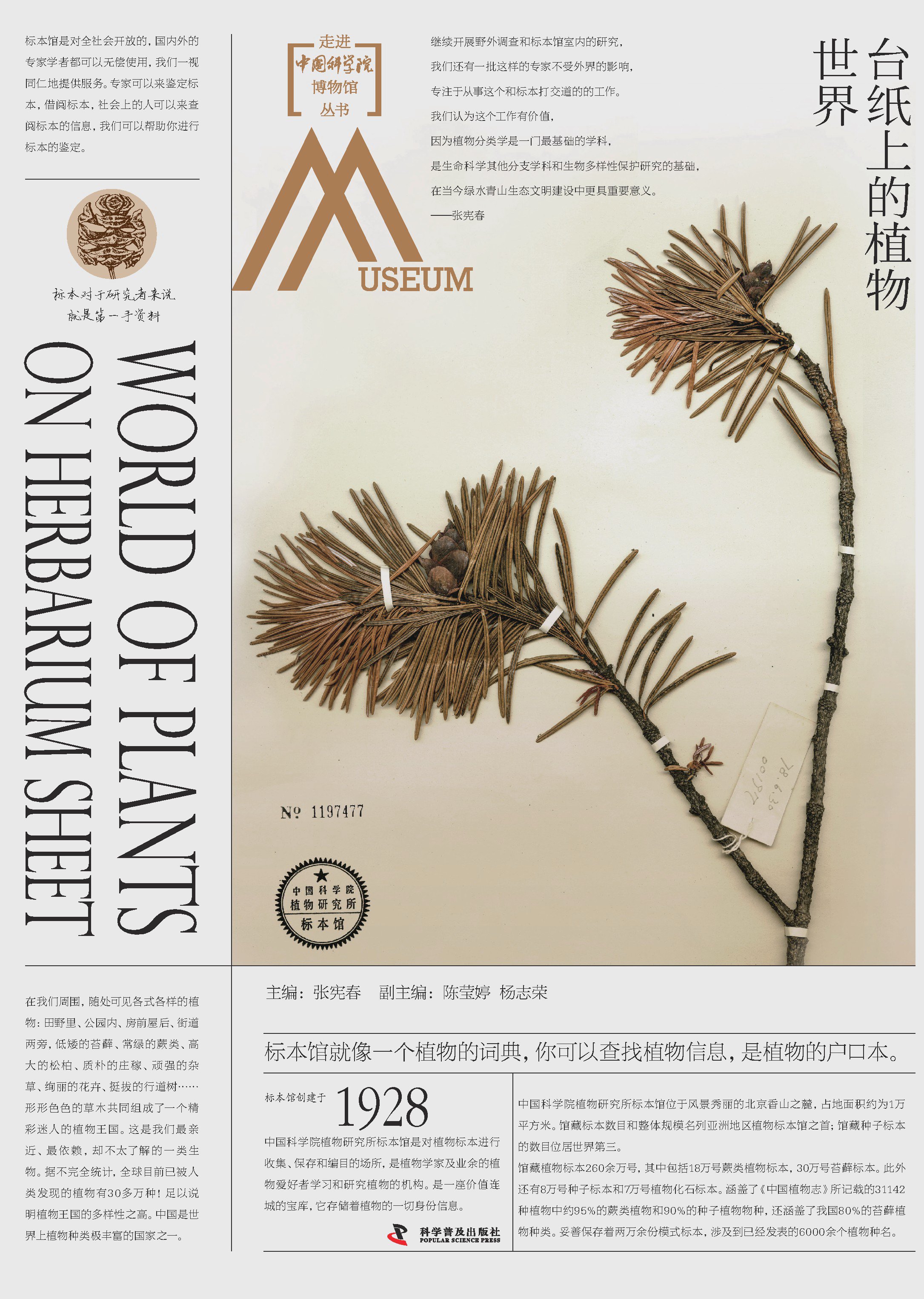 台纸上的植物世界：走进