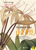 百合圣经