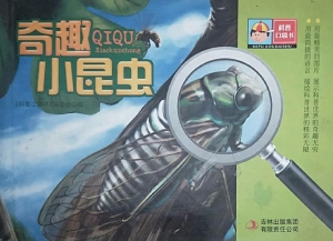 奇趣小昆虫