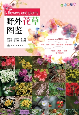 野外花草图鉴