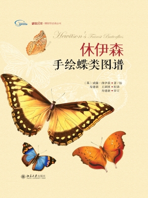 休伊森手绘蝶类图谱