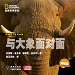 与大象面对面