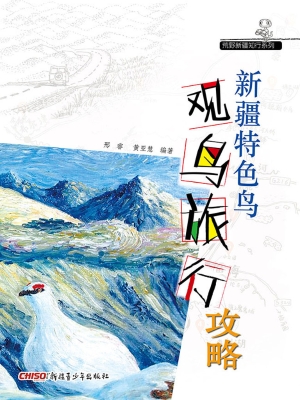 新疆特色鸟观鸟旅行攻
