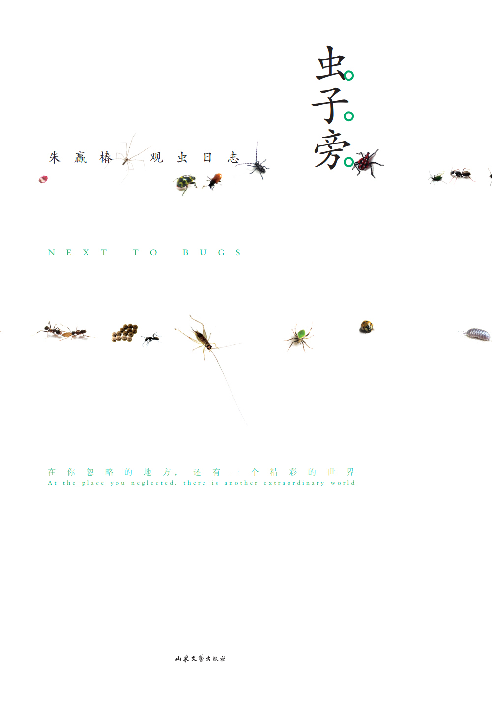 虫子旁
