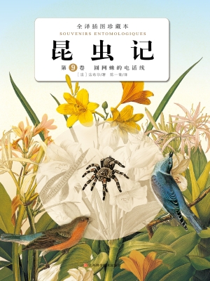 昆虫记（第9卷）