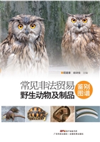 常见非法贸易野生动物