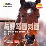 与野马面对面