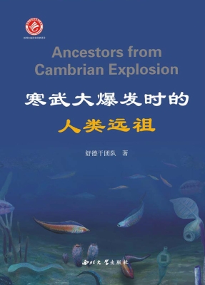 寒武大爆发时的人类远