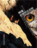图览新疆野生动物