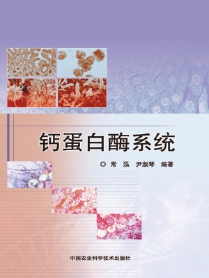 钙蛋白酶系统