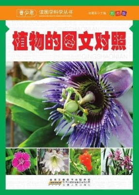 植物的图文对照