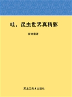 哇，昆虫世界真精彩
