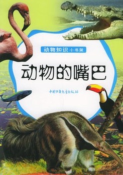 动物的嘴巴