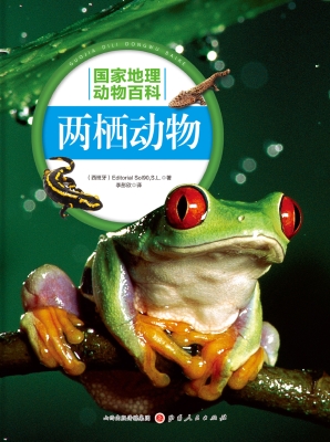 两栖动物