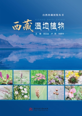 西藏湿地植物