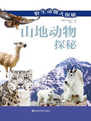山地动物探秘