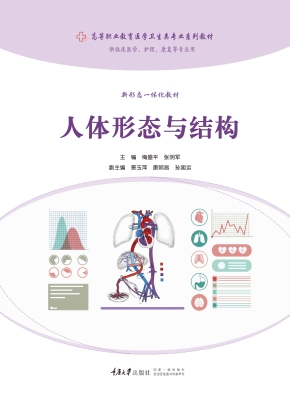 人体形态与结构