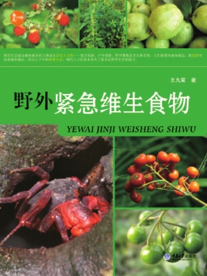 野外紧急维生食物