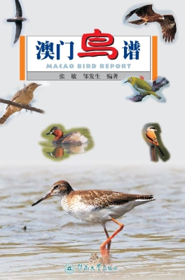 澳门鸟谱