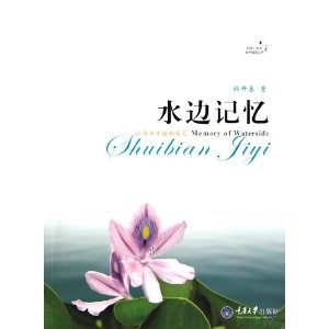 水边记忆