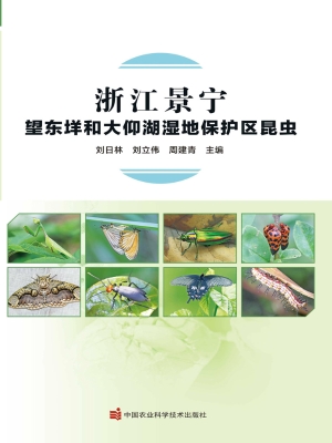 浙江景宁望东垟和大仰