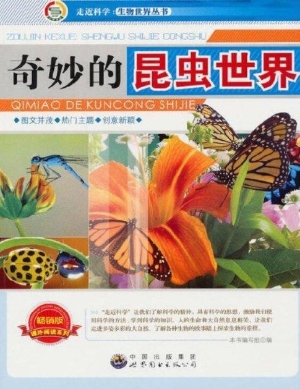 奇妙的昆虫世界