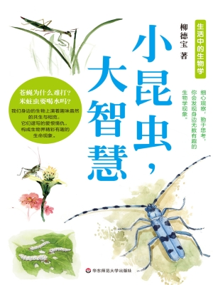 小昆虫，大智慧