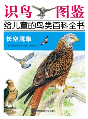 长空鹰隼