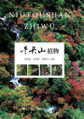 牛头山植物