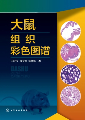大鼠组织彩色图谱