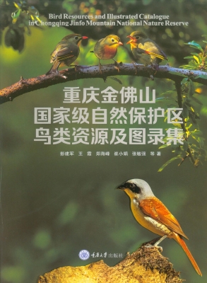 重庆金佛山国家级自然