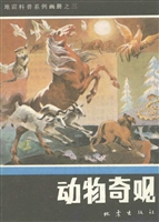 动物奇观