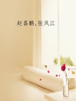 家乡的朋友·鸟