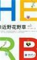 亲近野花野草