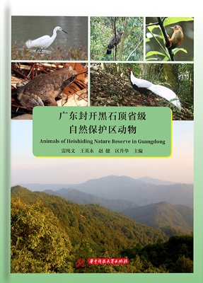 广东封开黑石顶省级自
