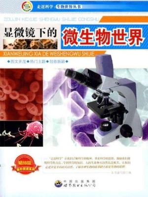 显微镜下的微生物世界