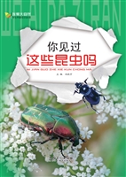你见过这些昆虫吗