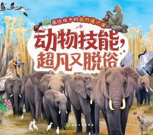 动物技能，超凡又脱俗
