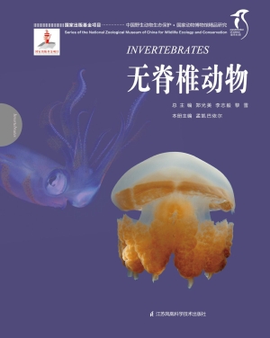 无脊椎动物