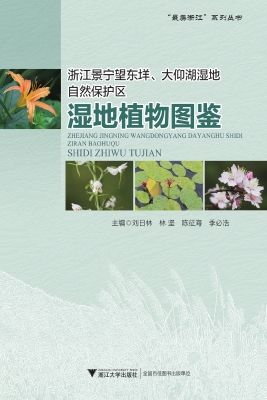 浙江景宁望东垟、大仰