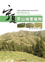 [!--oldtitle--] PDF电子书下载