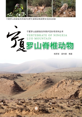 宁夏罗山脊椎动物