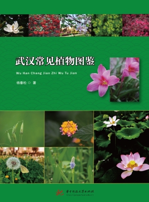 武汉常见植物图鉴
