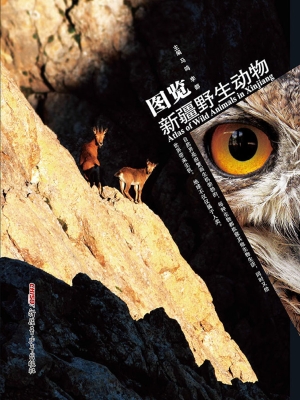 图览新疆野生动物