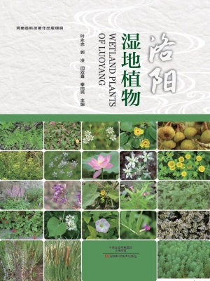 洛阳湿地植物