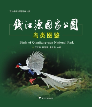 钱江源国家公园鸟类图