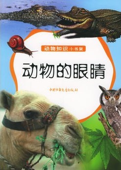 动物的眼睛